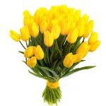 Consegna Yellow Tulip