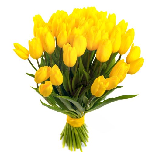 Consegna Yellow Tulip