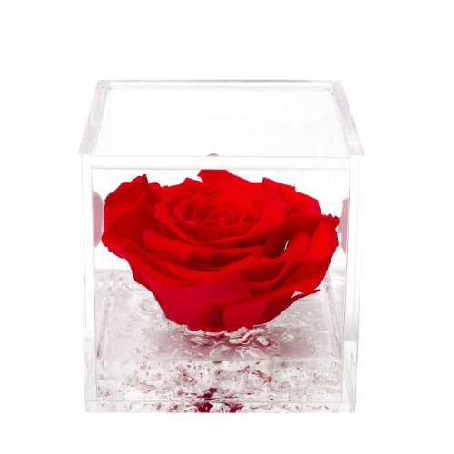 Consegna Flower Cube