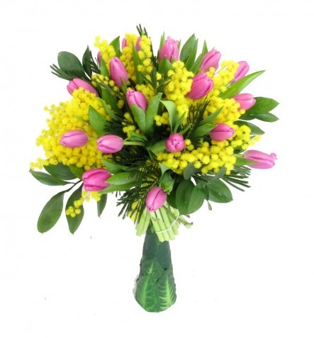Mimosa e Tulip Pink